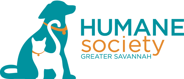 Donation to charity - Southern Shores Clothing