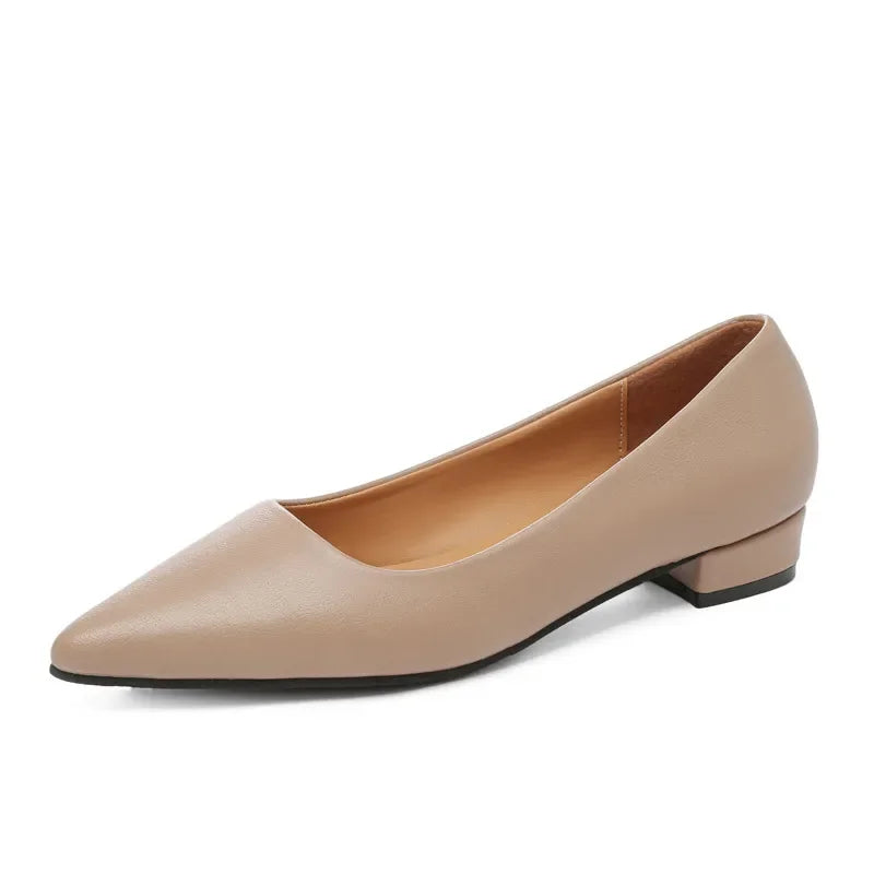 Pointed Toe Low Heel Pump Synthetic Leather - Southern Shores Clothing