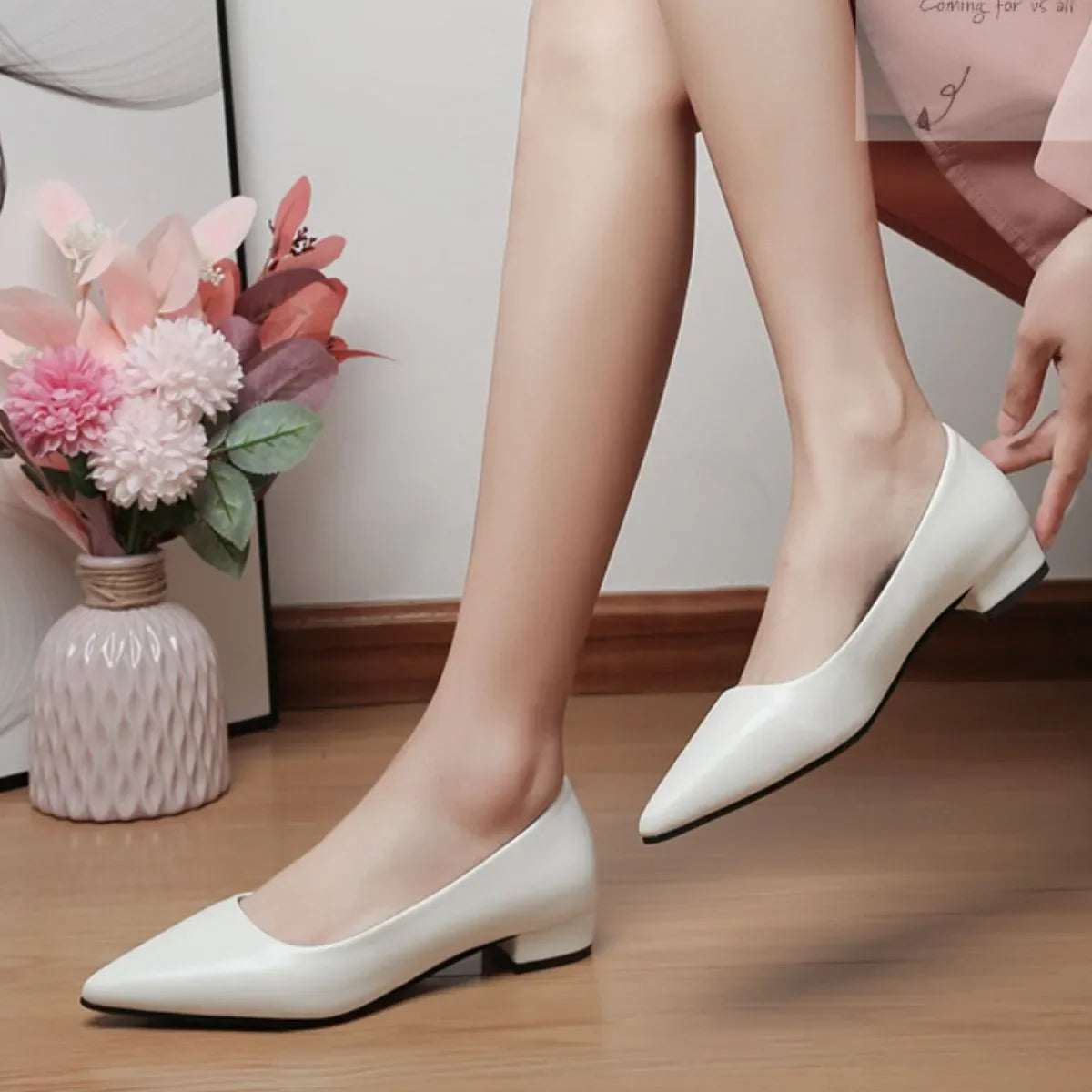 Pointed Toe Low Heel Pump Synthetic Leather